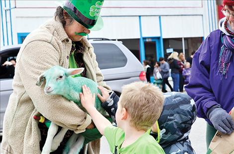 Green sheep from the Mission Mountain Sheep Dairy follow the parade route.