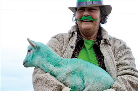 Green sheep from the Mission Mountain Sheep Dairy follow the parade route.