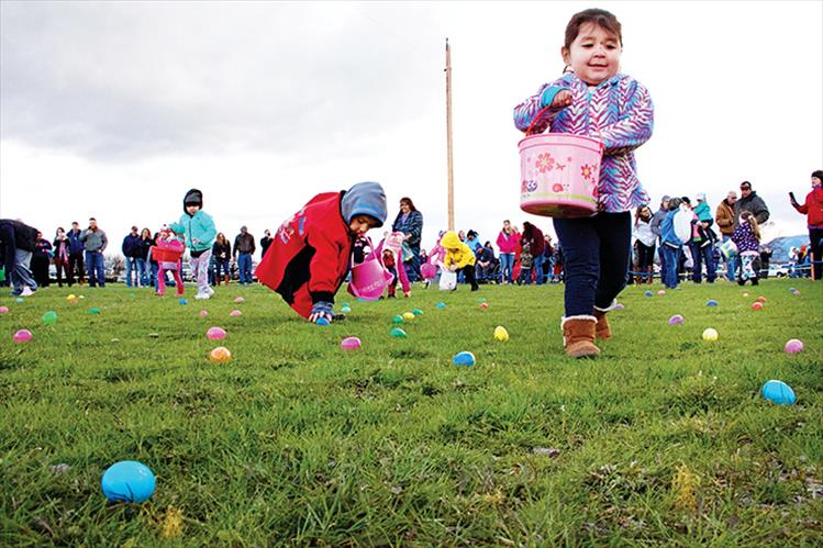 Samantha Tatsey picks up an egg in the 3-4 year group at the Easter egg hunt in Polson last Saturday. A countdown and fire truck siren marked the start of the hunt for youngsters.