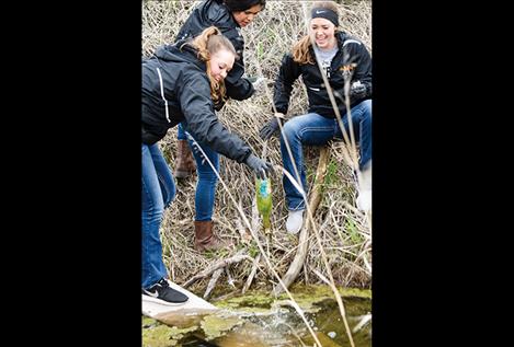 Madison Clairmont, LaNissa Mahkuk, and Regan Clairmont clean up the ditch near school.
