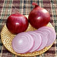 Onions can be planted outside starting mid-April