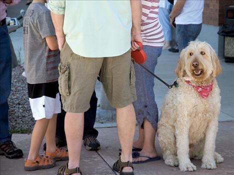 While his family enjoys chatting, a dog takes in the sights and smells of the July 4 parade.