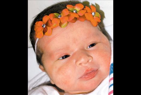 Amari Annelyn Many Heads 