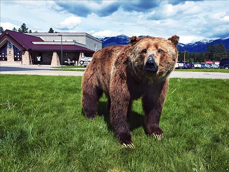 a grizzly  bear  welcomes  people  to the  festival.