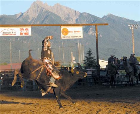 Connor Bender of Havre rides his bull like a seasoned veteran.