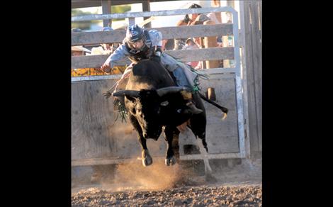 Dylan Steward soars through the air atop a bull during the mini bull riding event.