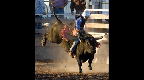 Judd Applegate participates in the mini bull riding event at the 2012 Pioneer Days Rodeo.