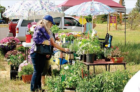 Shopping in fresh air and sunshine ... local growers know their inventory and have helpful planting and growing tips.
