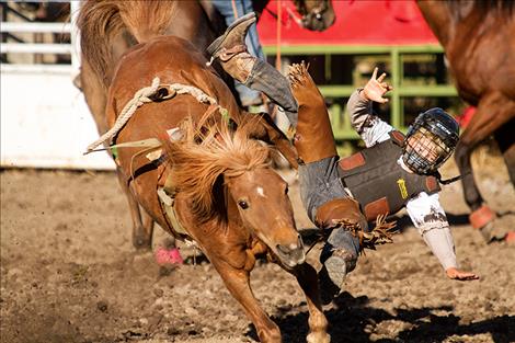 A mini  bucker  cowboy  catches  some air  during the Mission  Valley  NRA  Rodeo.