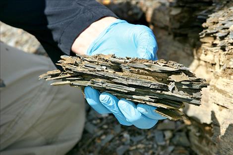 Zach Adam is at a shale outcrop in western Montana. Adam’s discovery of ancient  fossilized microorganisms predates fossils previously believed to be the oldest complex life forms in North America by 200 million years.