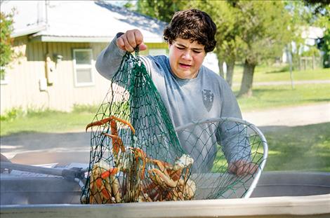  Duncan  Chisholm, 14,  unloads a freshly cooked batch  of crab.