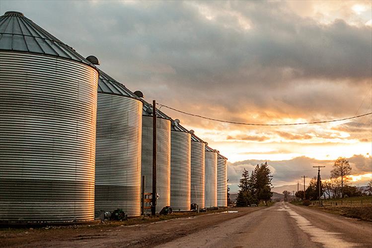 A family of silos on Minesinger during sunset