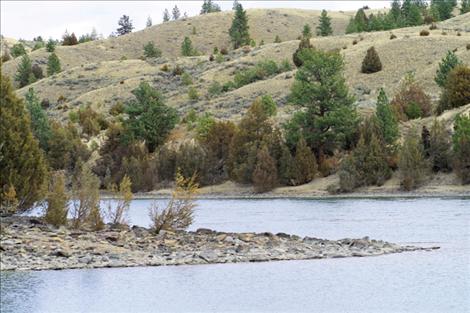 Certain  sections  of the Flathead River, like this bank near Fishing Hole, might benefit from the addition of shade trees as the years get hotter.