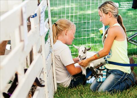 Two girls enjoy a quiet moment with a baby goat during  the Lake County Fair last week in Ronan.