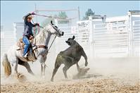 Locals compete in ranch rodeo days