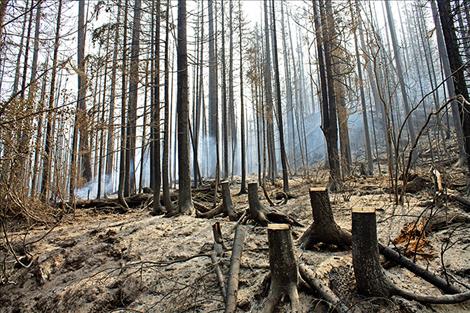 Smoke rises from hot spots that still smolder across the ash covered landscape. Though there is no open flame at this spot at the moment, it doesn’t mean the fire won’t flare up again under high winds and dry weather. 