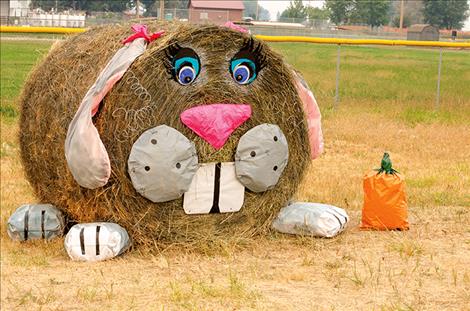 The 4H Club put a bunny out in front of the Ronan football field.