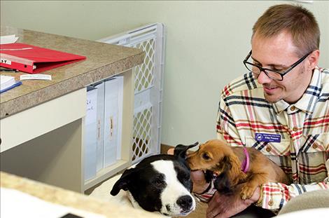 Shelter Director Filip Panusz coaxes a dog out from under the front desk where it likes to sleep. 