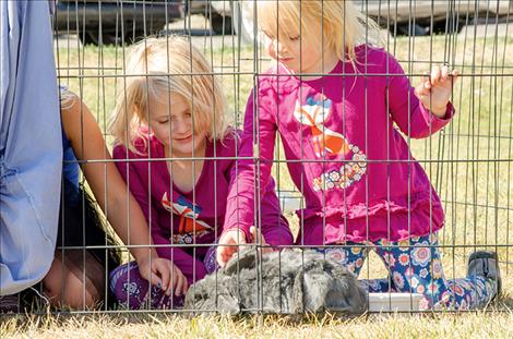  Sisters Amila and Moira Salsbery enjoy a bunny at the 4H Petting Zoo.