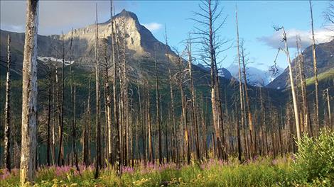 Glacier National Park