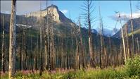 Glacier National Park prepares for winter season