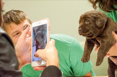 Students play with puppies that could one day become  service dogs for people with mental health issues.