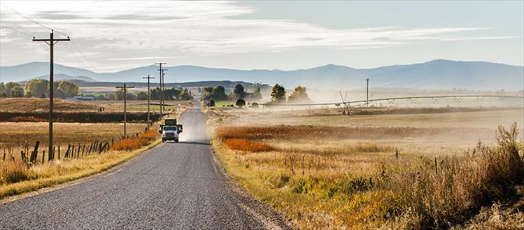 Golden fields hug the edges of Spring Creek Road on a warm, fall afternoon.