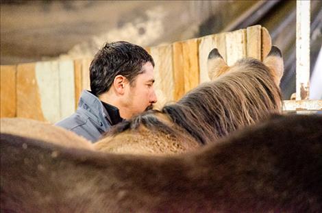  Mervyn Camel spends time with the horses. 