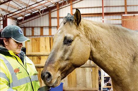 Sharline Bluemel works with one of the horses at the retreat. 