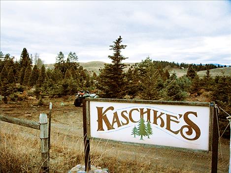 Kaschke’s Christmas Tree Farm will close after Christmas Eve. 