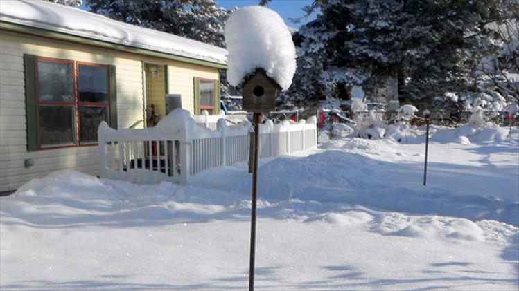 Even the birds' homes must contend with Mother Nature's snowy adornment.