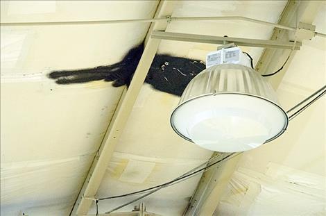 The ceiling in the gym was patched with a black substance after a puddle of water on the floor forced administrators to move a basketball game to another school.