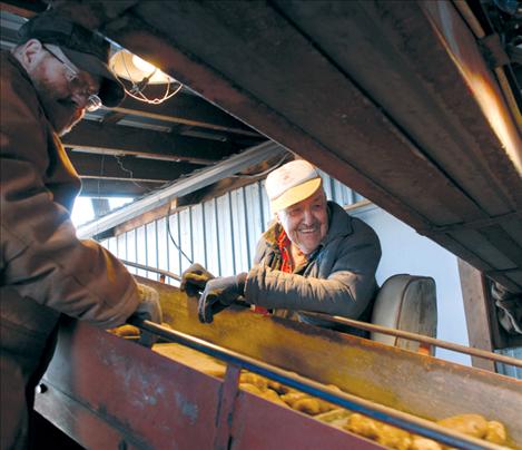 Harold Kent smiles but keeps his eyes on the potatoes coming up the conveyor belt. He is a veteran of 50 years in the potato fields. Across from Harold is nephew Sam Kent.