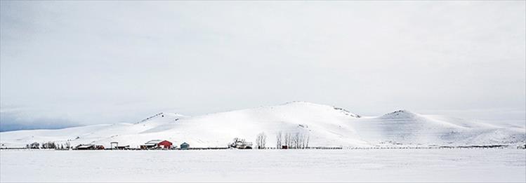 Except for a line of trees and buildings, sky, hills and land all blend together in a Montana version of white on white.