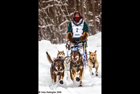 Charmayne Morrison drives her dog team near the start of the Junior Iditarod.