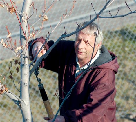 Master gardener Arlyn Amundson prunes a tree during a hands-on field day. 