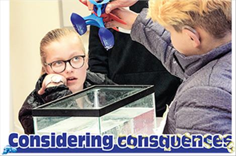 Students learn how easy it is to transfer aquatic invasive species from one body of water to another by pretending a fish tank is the lake.