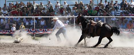 A calf gets taken down in front of a cheering crowd during the calf roping competition.