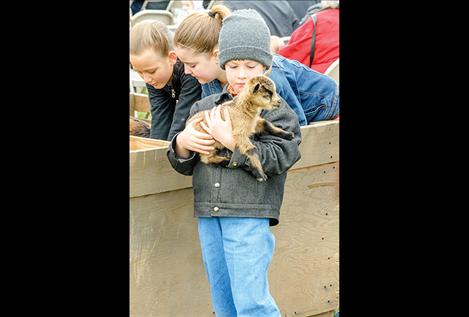Children play with baby goats during the auction.