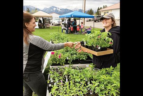 Sheila Rigby buys a tray of tomato plants and flowers from Cryse Heiner.