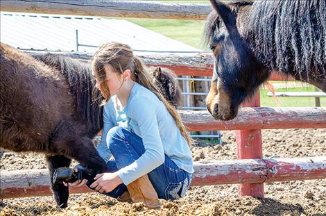 Izzy Logan-Young checks on a small horse recovering from hoof problems. 