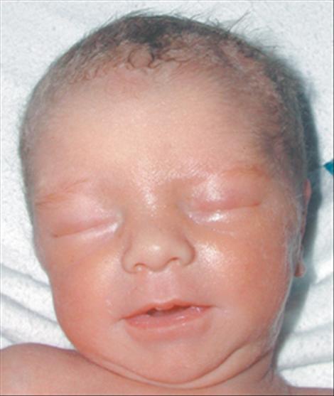 Lucy Violet Nicole Shear