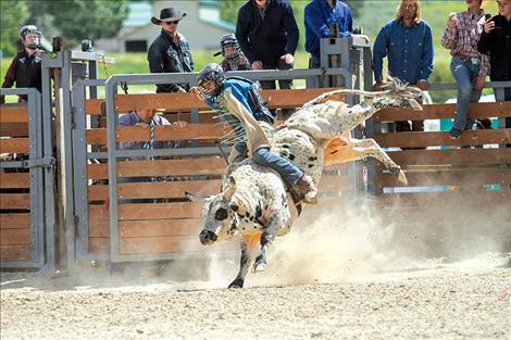 Logan Adler rides mini bull “Tylenol” at the Hot Springs Rodeo.