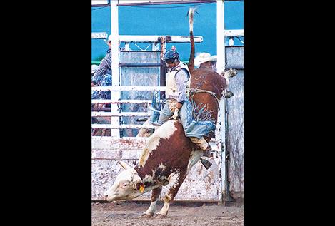 A cowboy holds on for dear life.