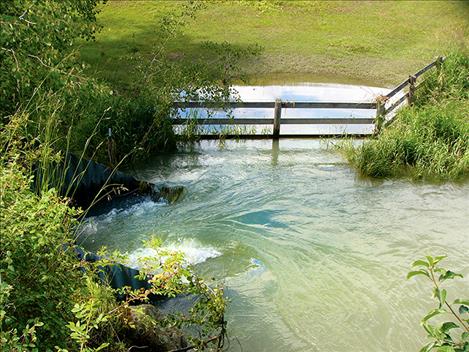 Water spills through a culvert and out into a field along Dublin Gulch Road. At one point, the creek completely filled the culverts and ran up over the road. 