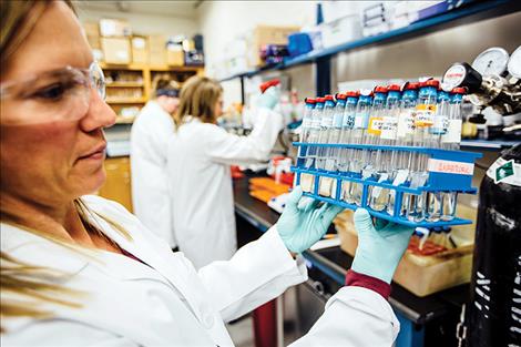 Dana Skorupa, assistant research professor in MSU's Center for Biofilm Engineering, holds a collection of microbes sampled from Yellowstone National Park thermal features.