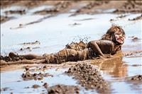 Runners get down and muddy