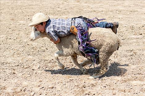Youngsters held on tight to their sheep during Saturday's sheep riding event.
