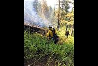 Mountain fire swiftly knocked out