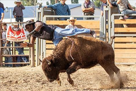 Wild buffalo rider Keith Edmondson takes an untimely flight.